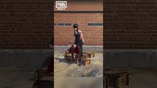 Gia nh C Ny Th Sao Dm ng  pubgmobile spyxfamily