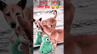 DOG MIRROR PRANK | The Moment He Realizes… That’s HIM #funny #dogmirror #dogshorts #shorts#prank 🤣🐕