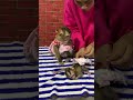 Adorable baby monkey #monkeylove #monkeybaby #adorable #adorablemonkey #babyanimal #monkeysmart