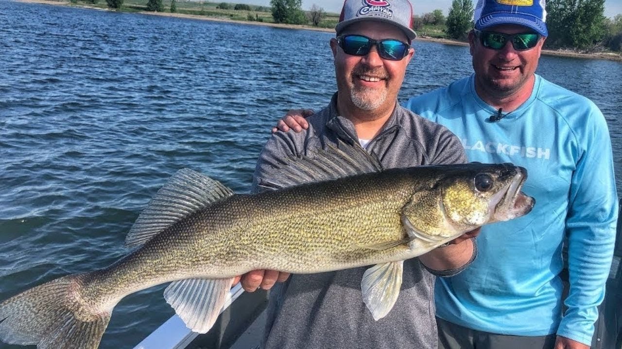 Butterfly Blade Walleye on Lake Sakakawea - Jason Mitchell Outdoors