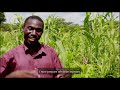 Farmer Managed Seeds Farmer Managed Seeds