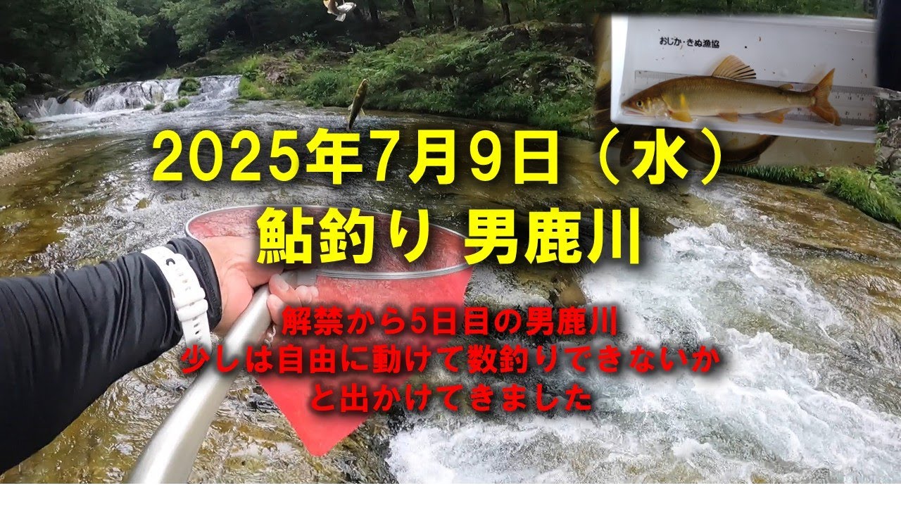 少年川釣りブック　シカケと釣り方これでオーケー 良質 少年川釣りブック シカケと釣り方これでオーケー その他