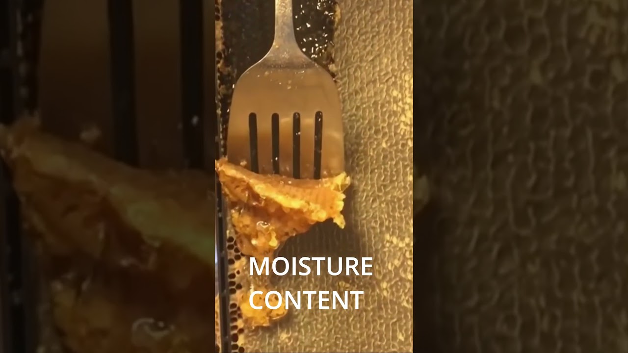 IS IT EDIBLE?