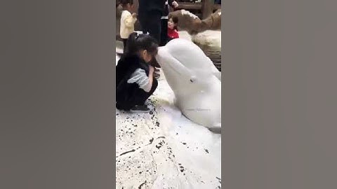 ان رحمت الله قريب تلاوة خاشعة القارئ احمد العجمي