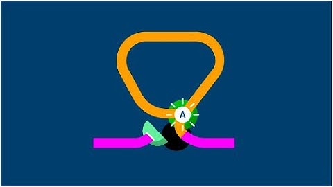 RNA Splicing