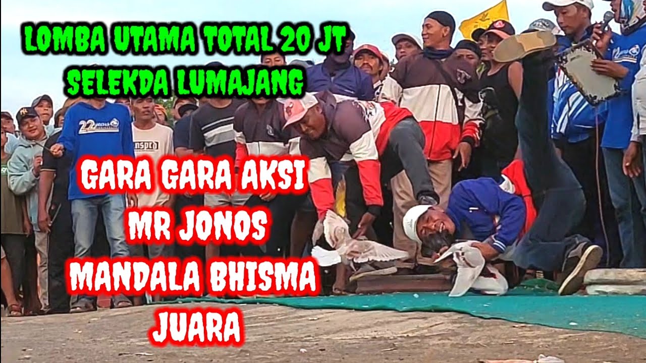 Babak dua sampai FINAL Lomba utama merpati balap lumajang lapang wonorejo 2024