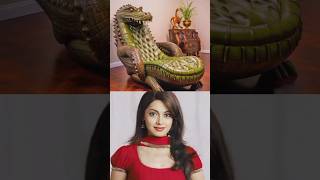 Top Cid Officers Stylish Chairs