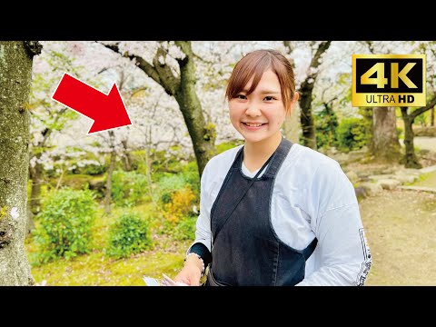 Video: Japanese camellia - namumulaklak na kagandahan