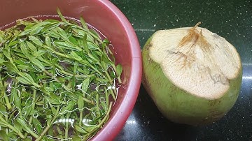 BÀI THUỐC DÂN GIAN CHỮA SỎI THẬN TỪ NƯỚC DỪA VÀ RAU NGỔ