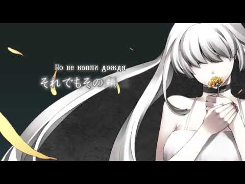 Sukone Tei - The Girl of the Funeral Flowers (rus sub)