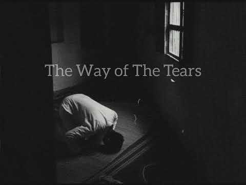 The Way of The Tears (slowed and reverb) - Muhammad al Muqit | Mind refresher | Relaxing | Neon Nafi