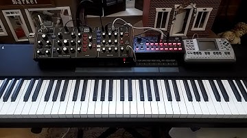 SQ 1 - Model D