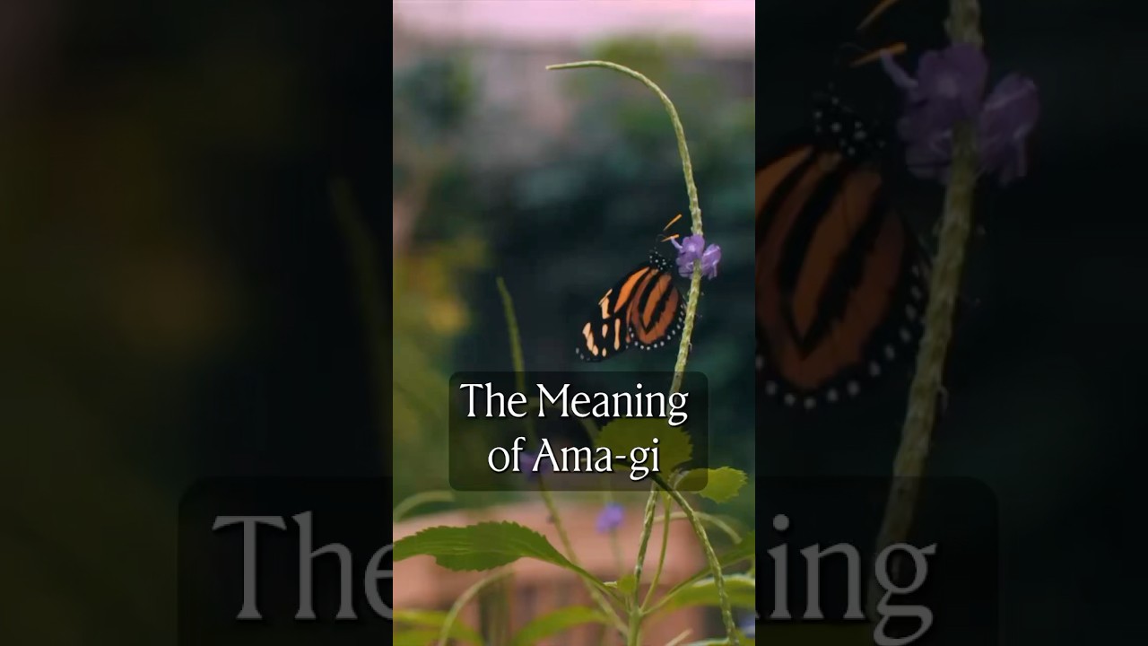 The Meaning of Ama-gi 🦋 - YouTube