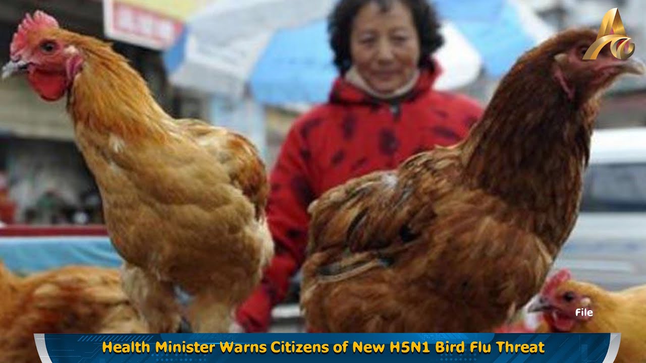 Health Minister Warns Citizens of New H5N1 Bird Flu Threat - YouTube