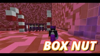 Playing BoxNut New UPDATE!