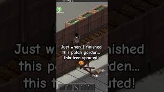 good things I have my axe with me. #projectzomboid #build42 #b42 #agriculture