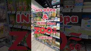 Vad Du Bör Och Inte Bör Köpa Till Din Kanin - Zoo.se Edition