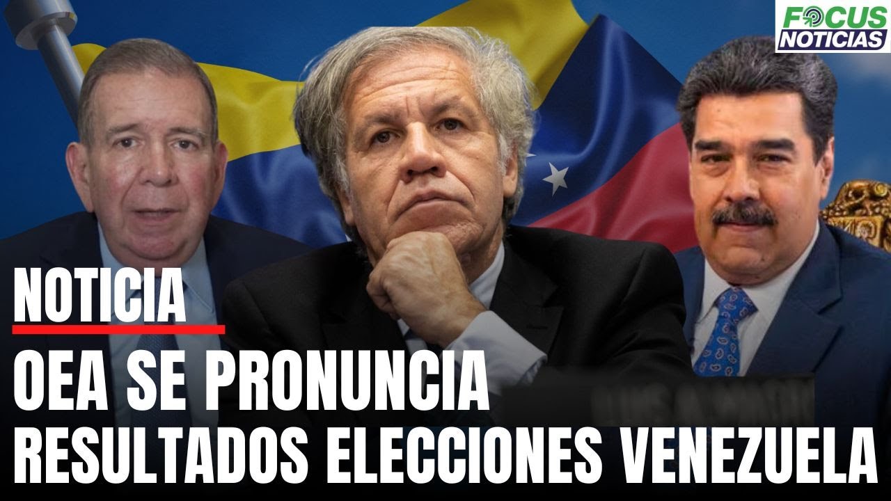 En Vivo. OEA se PRONUNCIA Sobre los RESULTADOS de las Elecciones en ...