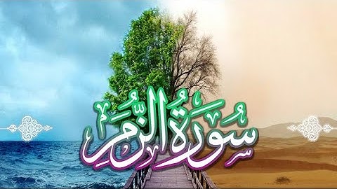 تلاوة خاشعة تفوق الوصف | سورة الزمر | الشيخ أحمد بن طالب
