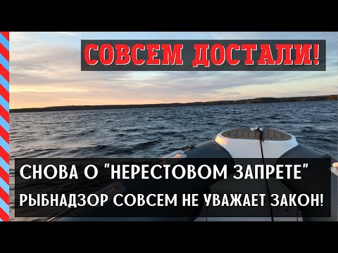 Снова о нерестовом запрете. Ст. 8.33 и 8.37 КоАП РФ, как они должны применяться?