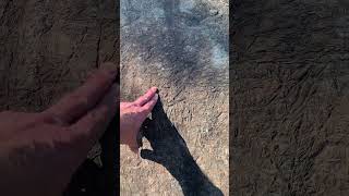 Rock of the Week 118: Spinifex texture in outcrop