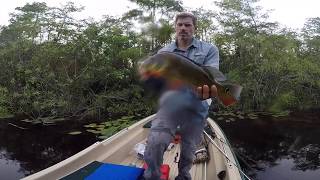 TESTING OUT MY 12FT SUN DOLPHIN WITH A 9.9HP MERCURY!