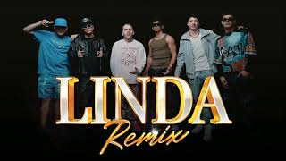 LINDA (REMIX) - DAN1 IN THE MIX Resimi