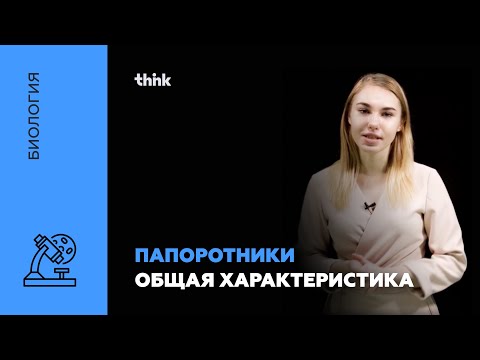 Папоротники. Общая характеристика | Биология
