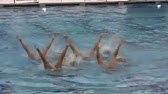 Aquanuts Fall Show 18 Youtube