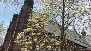 an ode to springtime at mount holyoke