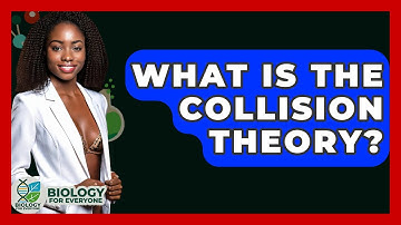 What Is The Collision Theory? - Biology For Everyone