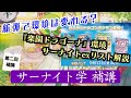 【ポケカ】第二回居残り授業！！楽園ドラゴーナ環境の考察と最新のサーナイトを紹介します/サーナイト学補講 【解説動画】
