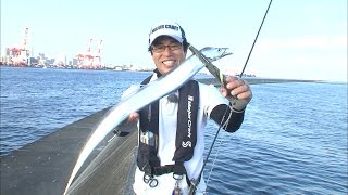神戸港沖でタチウオ絶好調！ジグとワインドで爆釣モード！/四季の釣り/2016年9月2日OA
