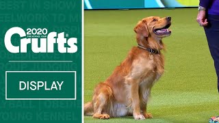 Fun Activities For You And Your Dog | Dog Activities Display at Crufts 2020