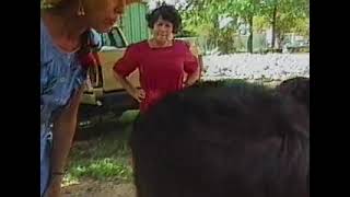 1993 Children's Compost Connection at the Becker Green Classroom