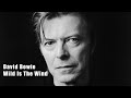 David Bowie - Wild Is The Wind (Lyrics)