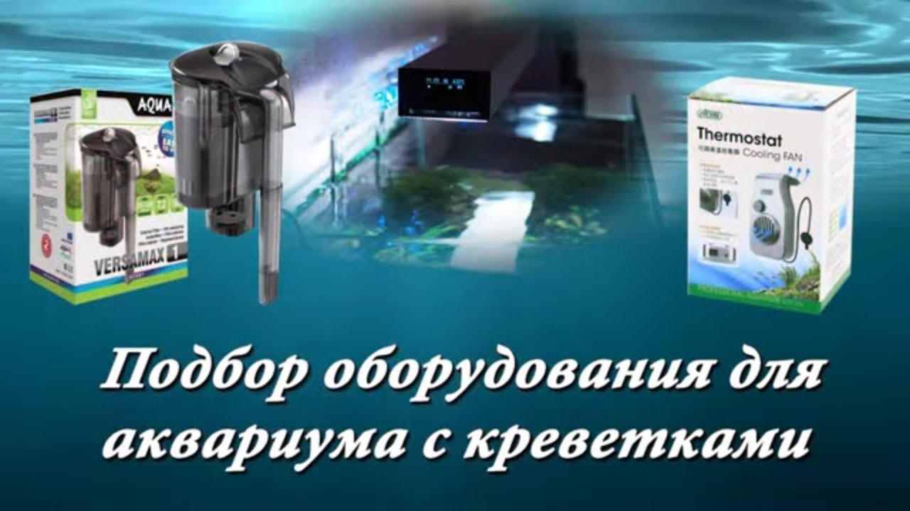 Стоп машина аквариум