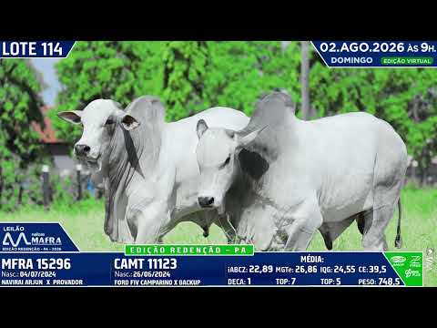 LOTE 114