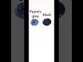 Guess the mixed color #youtubeshorts#lead#colors#paynesgrey#black#art#paint#shortsfeed#shorts#mix