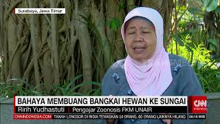 Bahaya Membuang Bangkai Hewan Ke Sungai | REDAKSI PAGI (02/07/22)
