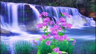 Free video background (no copyright) lanscape waterfall | Video pemandangan air terjun (gratis)