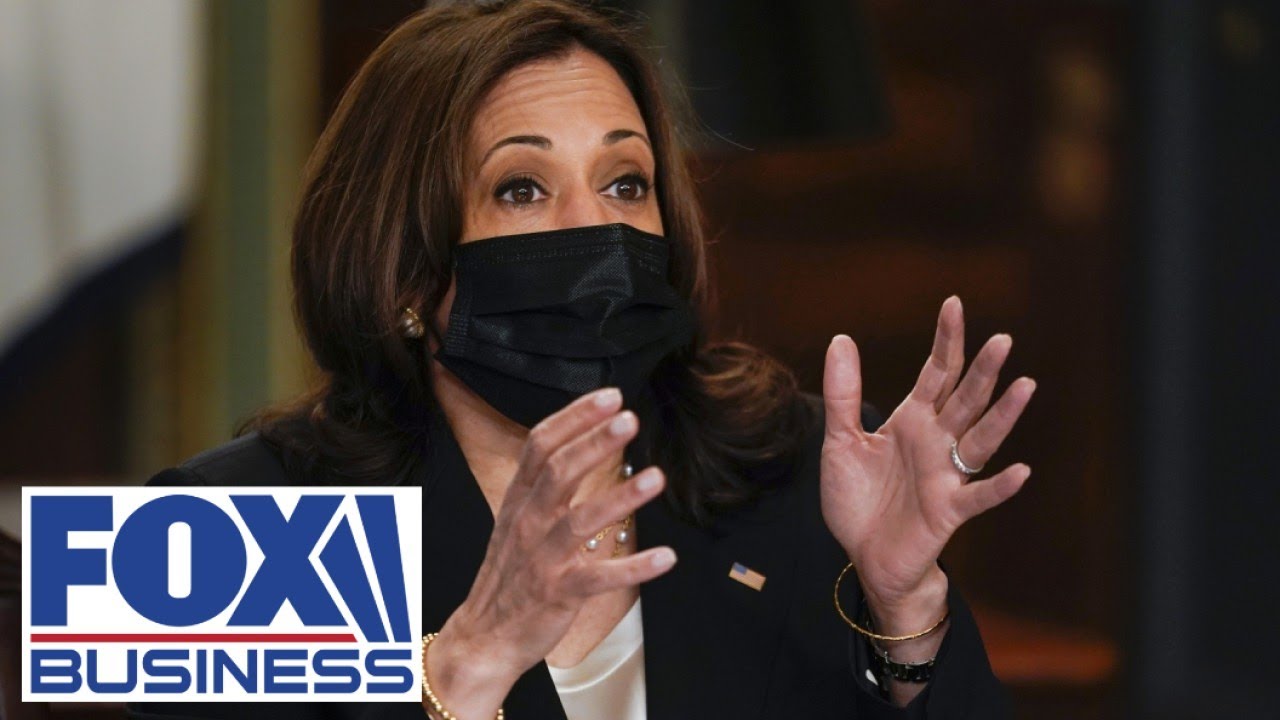 Harris would learn crisis is due to Biden policy if she just went to border: Senator