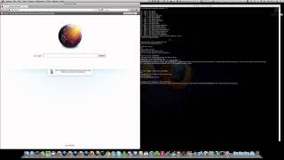 Running the Selenium IDE Mozmill tests