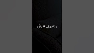سعود الشريم || سورة الأحزاب.