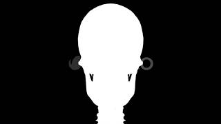 Skeleton Draw | Motion Graphics - Envato elements