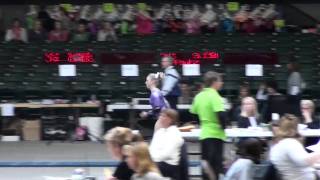 2011 Region 4 Championships - Vault