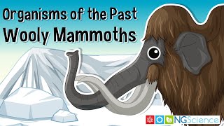 Organisms of the Past – Wooly Mammoths screenshot 3