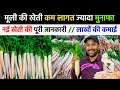 मूली की खेती का पूरा तरीका | कम लागत में ज्यादा मुनाफा | मूली की खेती  | Mooli ki Kheti ki jankari 