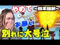 ワンピース 海外の反応翻訳 感動で大号泣 メリー号との別れ
