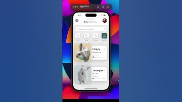 Flutter Drawer | Pet Adoption App with Gesture Control! 🚀